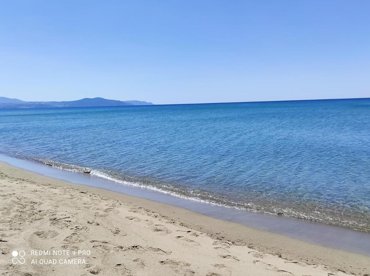 B&B Villa Di Bartolomeo Capaccio ภายนอก รูปภาพ